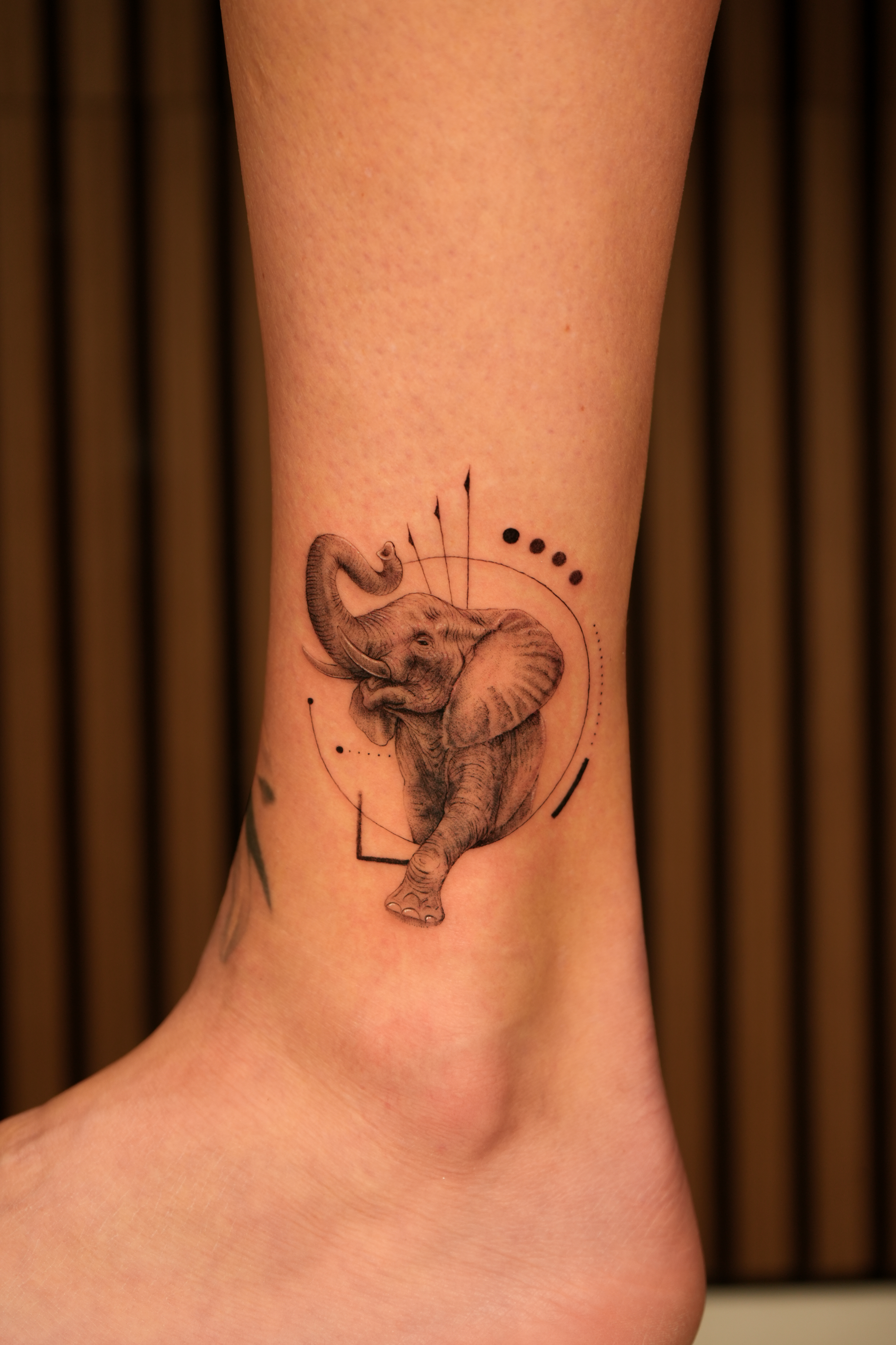 Fine line elephant ankle piece